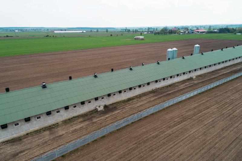 Koszt budowy chlewni