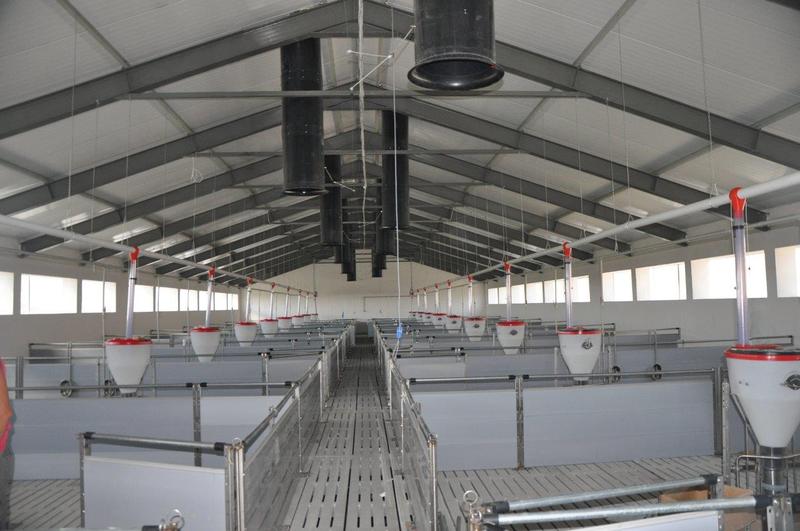 Koszt budowy chlewni: jakie czynniki kształtują ceny?