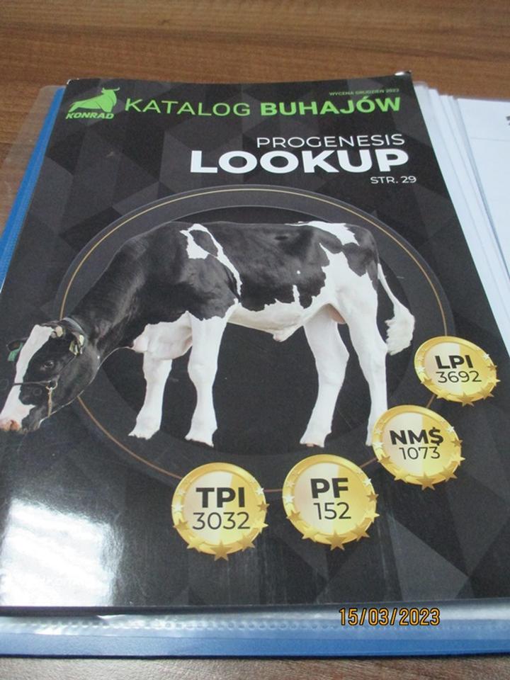 Odkryj Katalog Konrad: Czołowe buhaje i ich hodowlane walory