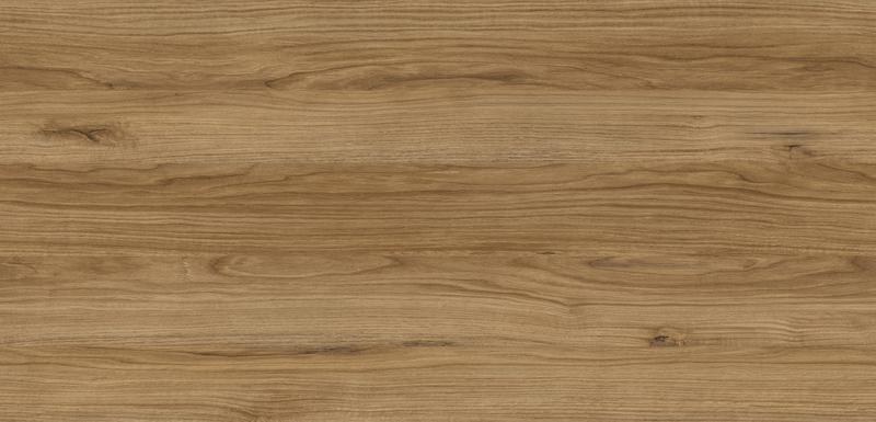 Dąb pradawny w aranżacji wnętrz